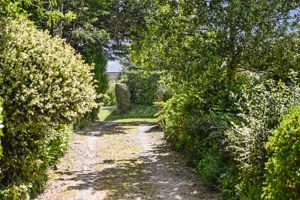 Photo 12- click for photo gallery